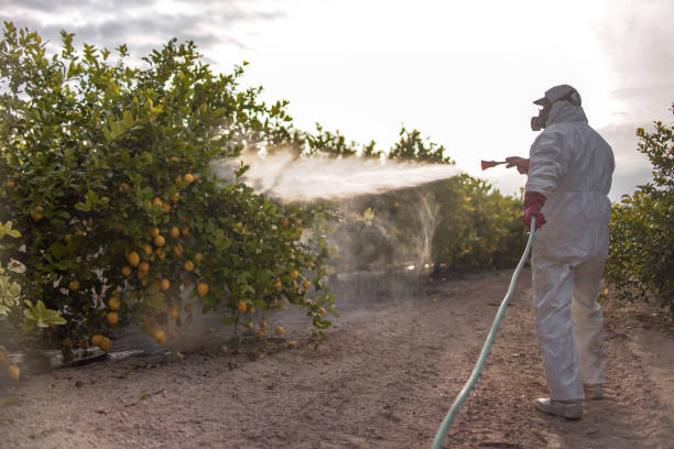 Best Affordable Pest Control Services  in Roseland, FL