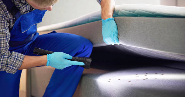 Best Residential Pest Control  in Roseland, FL