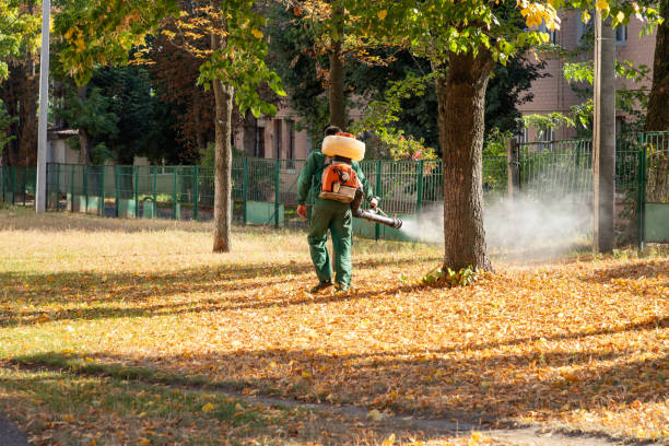 Best Wasp Removal Services  in Roseland, FL